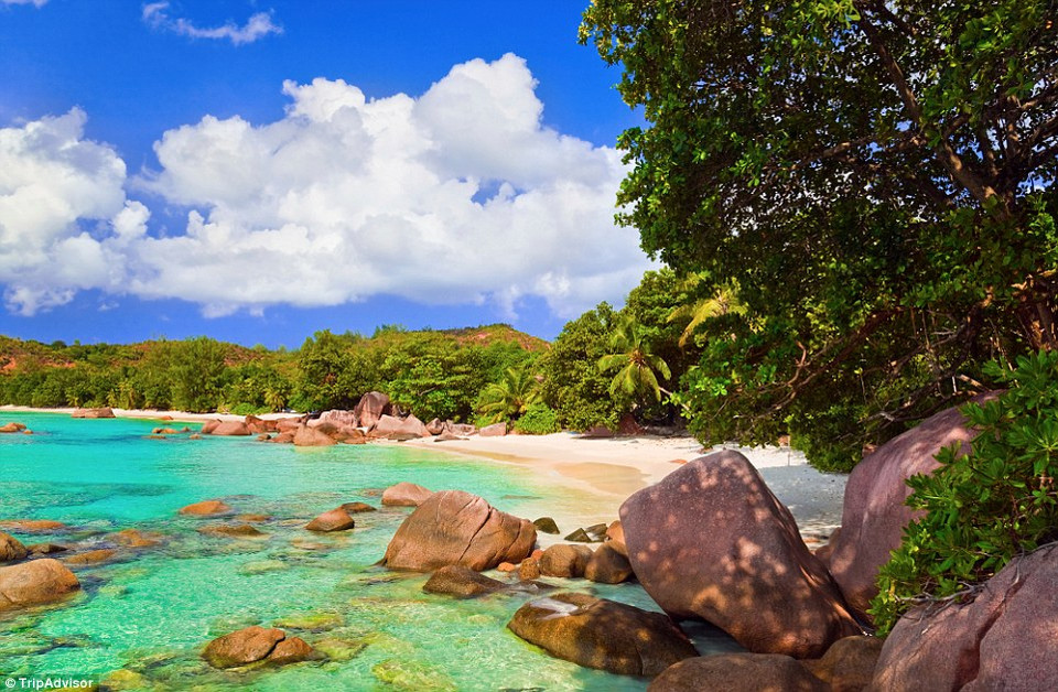 Bãi biển đảo Anse Lazio Praslin, Seychelles.(Nguồn: TripAdvisor)
