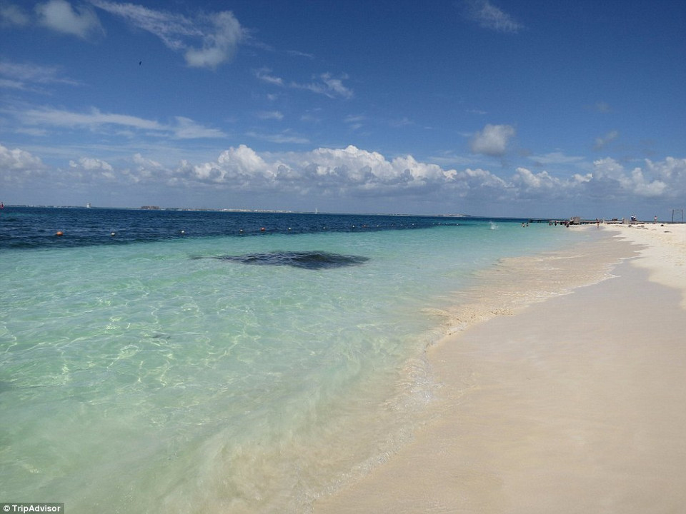 Bãi biển Playa Norte, Isla Mujeres, Mexico.(Nguồn: TripAdvisor)
