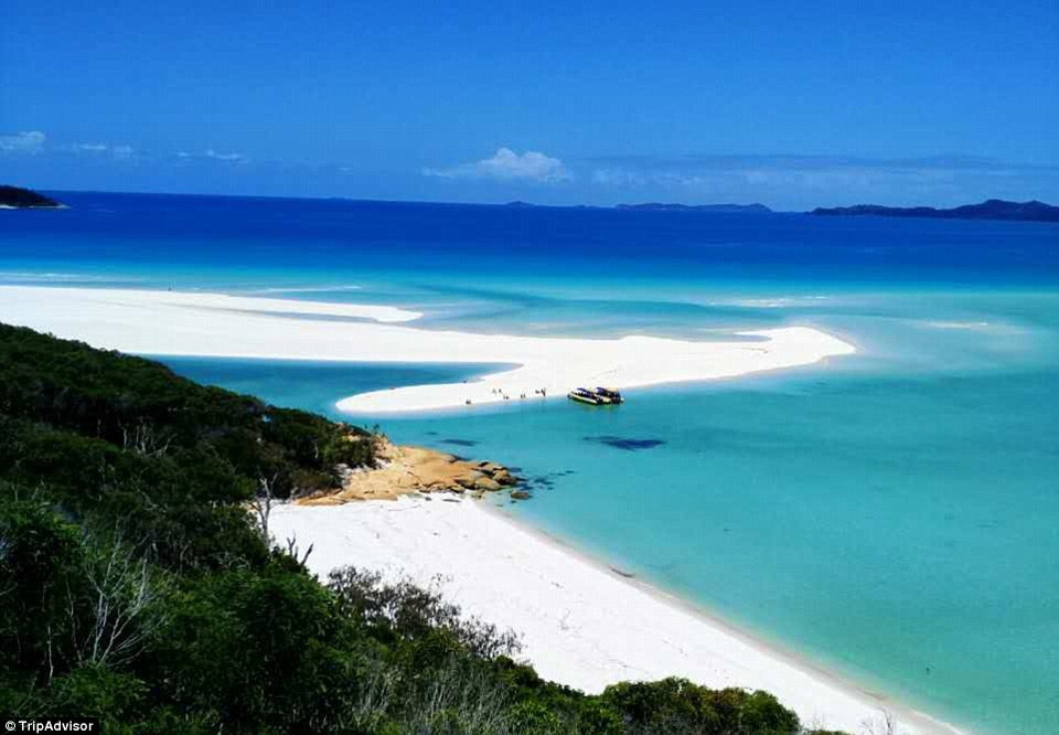 Bãi biển Whitehaven, đảo Whitsunday Queensland, Australia.(Nguồn: TripAdvisor)