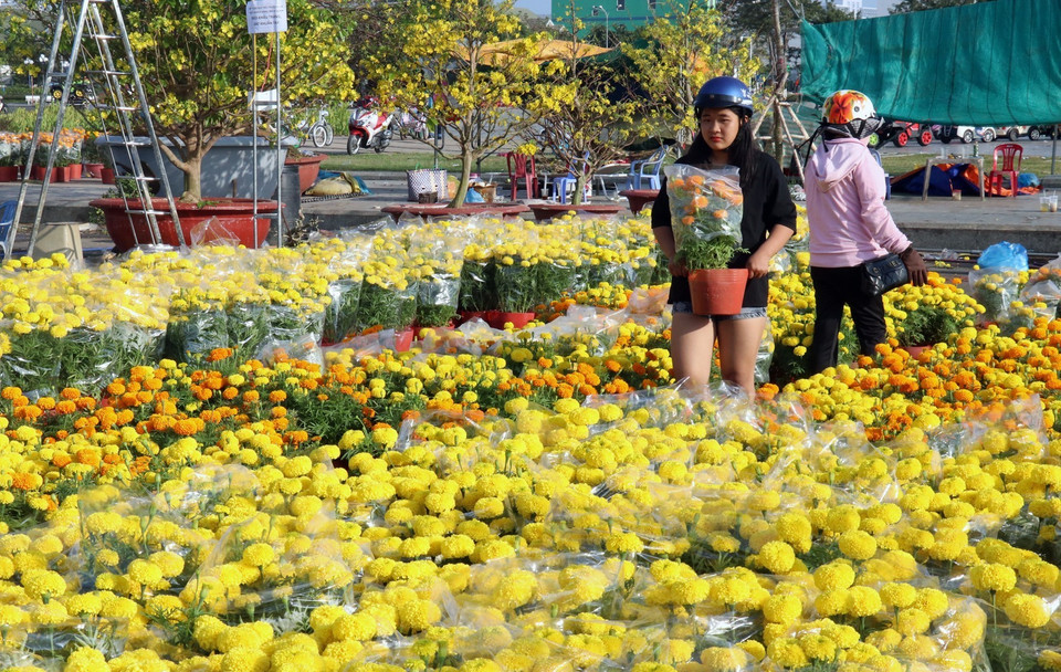 Chiều 10/2/2021 (tức 29 Tết âm lịch), các điểm bán hoa trong nội ô thành phố Rạch Giá (Kiên Giang) có khá đông người đến mua về bày Tết. (Ảnh: Lê Huy Hải/TTXVN)