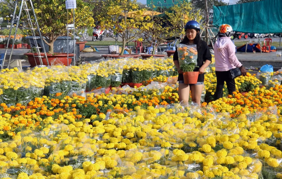 Chiều 10/2/2021 (tức 29 Tết âm lịch), các điểm bán hoa trong nội ô thành phố Rạch Giá (Kiên Giang) có khá đông người đến mua về bày Tết. (Ảnh: Lê Huy Hải/TTXVN)