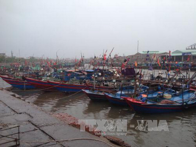 Tàu thuyền của ngư dân và tránh trú bão số 1 tại huyện đảo Cô Tô. (Ảnh: Thu Hằng-Thu Báu/TTXVN)