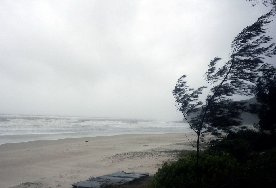 (Ảnh: Văn Đức/TTXVN)