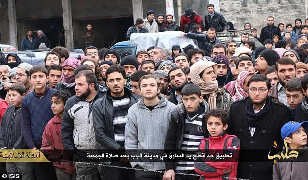 Một số người xem còn trèo lên nóc xe ô tô để nhìn cho rõ hơn. (Nguồn: DM)