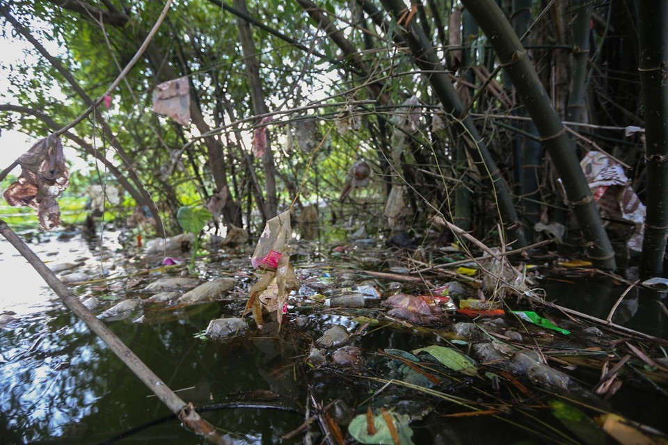Ở những bụi tre làng, góc đường hay bất cứ nơi nào cũng có rác thải bám đầy với nilon, chai nhựa và xác của động vật bốc mùi. (Ảnh: Trọng Đạt/TTXVN)