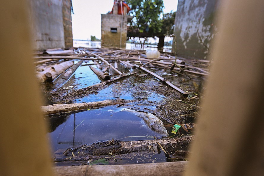 Rác thải với nilon, chai nhựa và xác của động vật bốc mùi xuất hiện khắp nơi ở những vùng ngập nước. (Ảnh: Trọng Đạt/TTXVN)