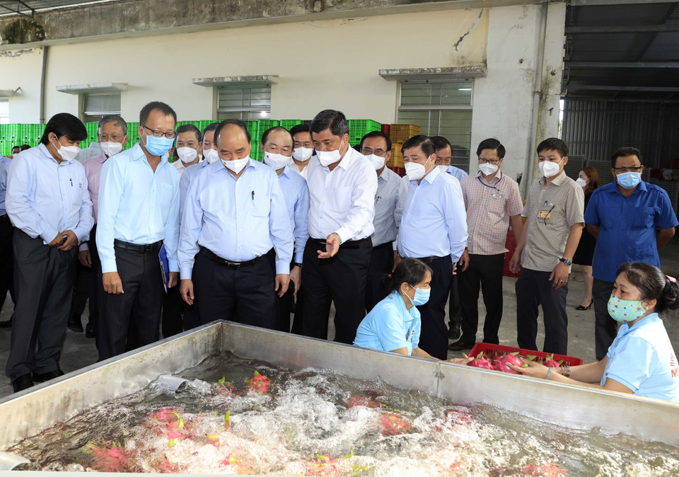 Chủ tịch nước Nguyễn Xuân Phúc thăm Hợp tác xã Mỹ Tịnh An, huyện Chợ Gạo. (Ảnh: Thống Nhất/TTXVN)