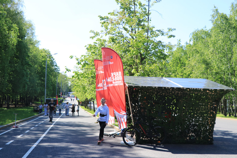Bên ngoài bảo tàng là một mảng xanh tưởng như bất tận, được điểm những cánh hoa bồ công anh vàng tươi của quần thể bảo tàng. (Ảnh: Hùng Võ/Vietnam+)