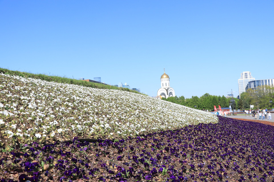 Chính không gian đó, môi trường đó cho người xem thấy bảo tàng không chỉ là nơi ghi dấu lịch sử mà còn là một nơi gắn với cuộc sống bình thường, giúp cho quần thể Bảo tàng như là một công viên rộng lớn, một nơi vừa học tập truyền thống vừa vui chơi, giải trí. (Ảnh: Hùng Võ/Vietnam+)