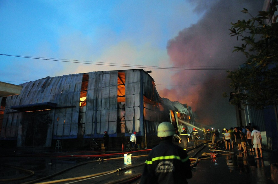  (Ảnh: Thành Chung/TTXVN)