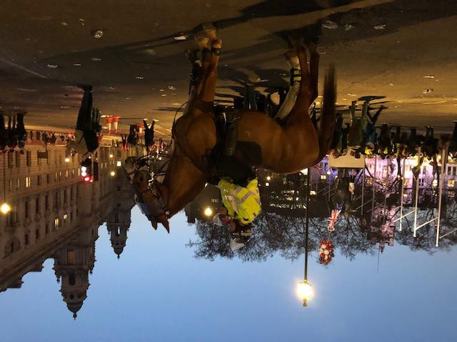 Ngày 29/3, với 286 phiếu thuận và 344 phiếu chống, Hạ viện Anh lần thứ 3 đã bác bỏ thỏa thuận Brexit mà Thủ tướng Anh Theresa May đã nhất trí với các nhà lãnh đạo EU hồi cuối năm ngoái.(Ảnh: Diễm Quỳnh/Vietnam+)