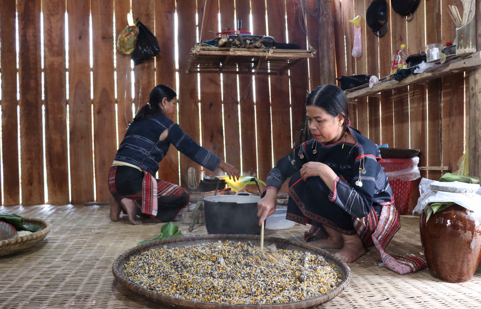 Nguyên liệu làm rượu cần gồm hạt Cào, bắp, cơm lúa rẫy được trộn đều, hong cho nguội. (Ảnh: Hồng Điệp/TTXVN)