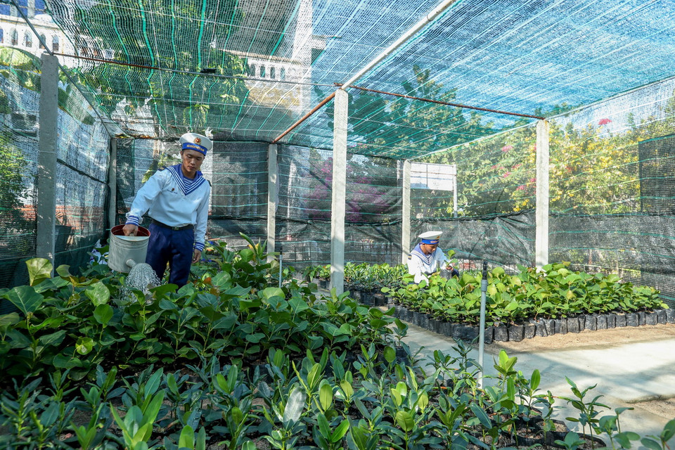 Vườn cây giống trên đảo Song Tử Tây với nhiều loại cây như bàng vuông, phong ba,.., mỗi năm cung ứng cho đảo và các đảo lân cận hơn 6000 cây giống, góp phần làm cho Trường Sa thêm xanh. (Ảnh: Hoàng Hiếu/ TTXVN)