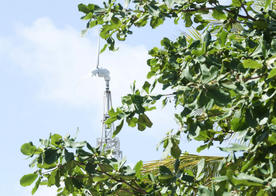 Cây cối giúp các đảo thêm xanh mát, cải thiện môi trường của huyện đảo Trường Sa. (Ảnh: Hoàng Hiếu/TTXVN)