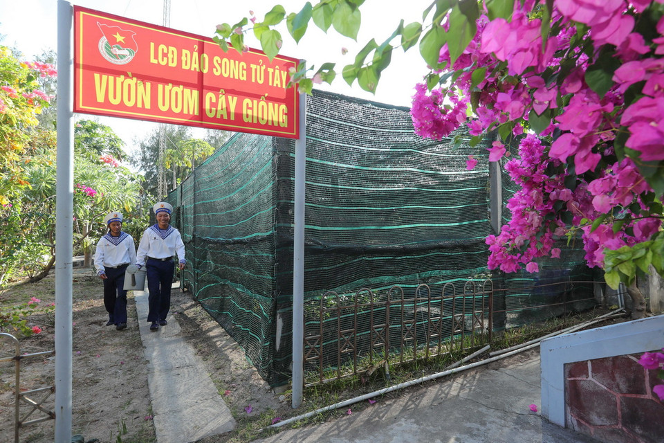 Mỗi năm, vườn cây giống trên đảo Song Tử Tây cung ứng cho đảo và các đảo lân cận hơn 6000 cây giống, góp phần làm cho Trường Sa thêm xanh. (Ảnh: Hoàng Hiếu /TTXVN)