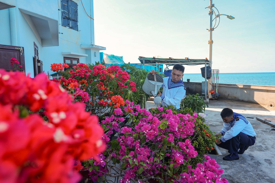 Các chiến sỹ đảo Đá Thị chăm sóc cây và hoa, giúp đảo thêm xanh mát. (Ảnh: Hoàng Hiếu/TTXVN)