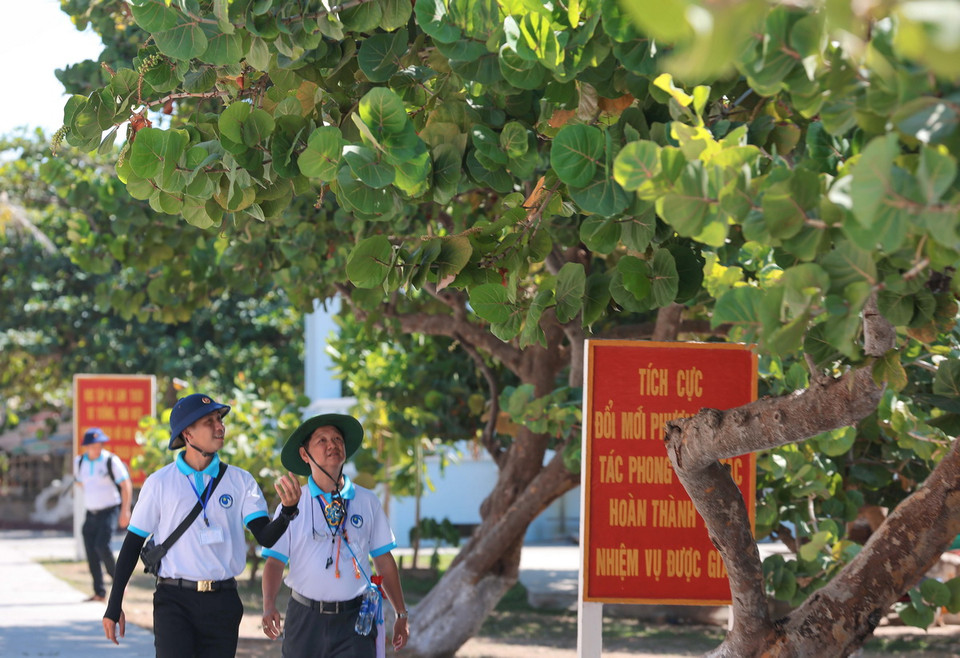 Cùng với màu xanh trời và biển, màu xanh của cây cối trên đảo Trường Sa lớn đang giúp khí hậu nơi đây trở nên thân thiện hơn với con người. (Ảnh: Hoàng Hiếu/TTXVN)