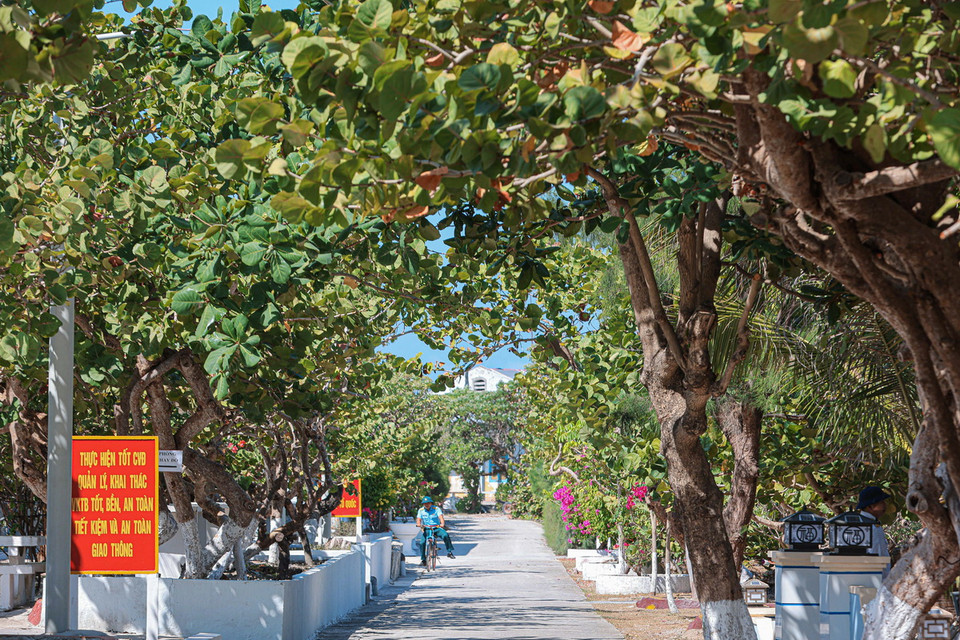 Những con đường rợp bóng mát trên đảo Song Tử Tây. (Ảnh: Hoàng Hiếu/TTXVN)