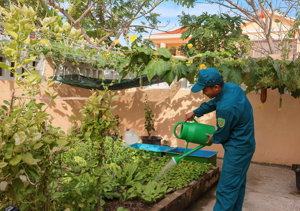 Màu xanh sự sống tại gia đình anh Nguyễn Thành Long, một trong 16 hộ dân trên đảo Đá Tây A. (Ảnh: Hoàng Hiếu/TTXVN)