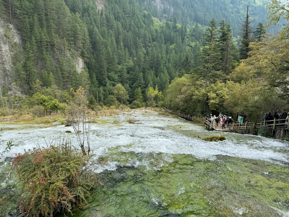Bãi Trân Châu - viên minh châu rực rỡ trong Cửu Trại Câu, dòng nước trong veo nhảy nhót như trân châu trên bãi vôi hóa màu vàng ngà, là nơi khởi nguồn tạo ra thác Trân Châu hoành tráng. (Ảnh: Công Tuyên/ TTXVN)
