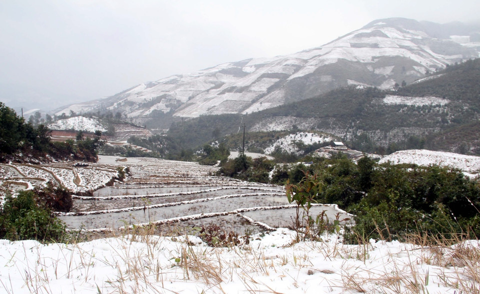  Tuyết rơi phủ trắng trên những mảnh ruộng bậc thang tại xã Bản Mù, huyện Trạm Tấu (Yên Bái). (Ảnh: Tuấn Anh/TTXVN)