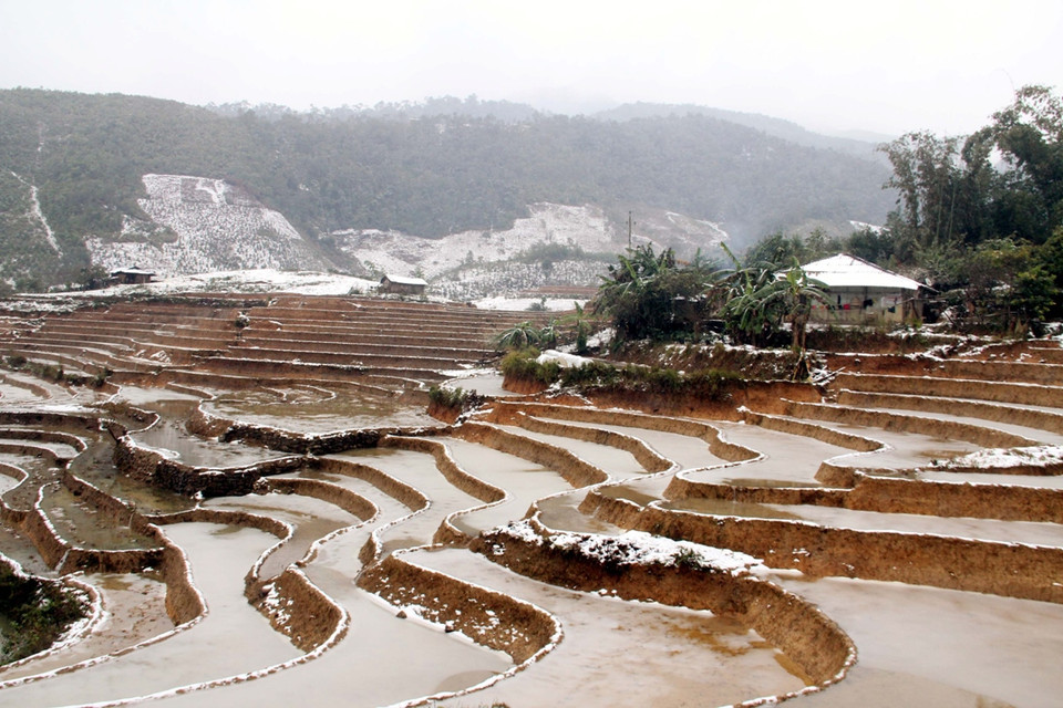  Tuyết rơi phủ trắng trên những mảnh ruộng bậc thang tại xã Bản Mù, huyện Trạm Tấu (Yên Bái. (Ảnh: Tuấn Anh/TTXVN)