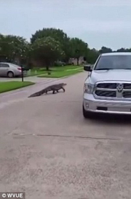 Người dân được khuyến cáo không đi ra khỏi nhà. (Nguồn: Daily Mail)