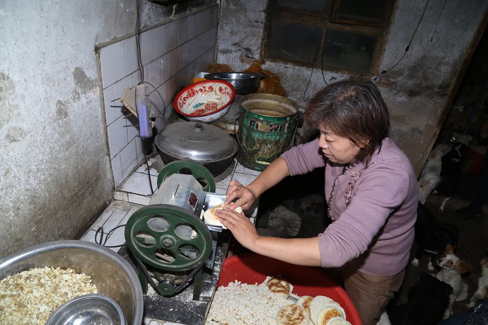 Cô đã bắt đầu nuôi các con chó đi lạc vì nhận thấy chúng có thể bị xe hơi cán và chết đói nếu bị bỏ rơi. (Nguồn: CCTV)