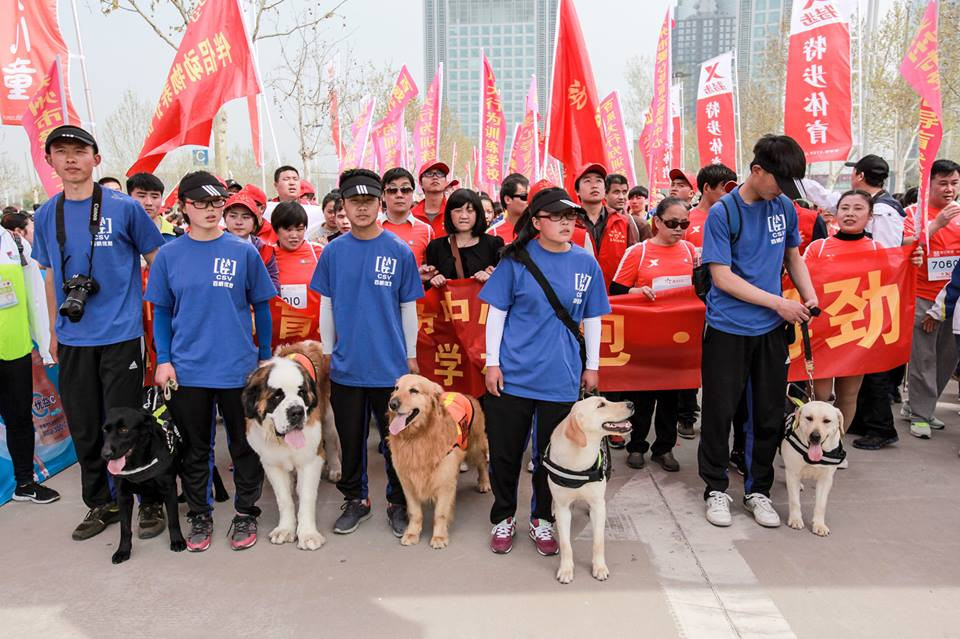 Giải chạy marathon quốc tế thường niên được tổ chức ở tỉnh Hà Nam, Trung Quốc đã thu hút được hàng ngàn người tham gia. Điểm đặc biệt của cuộc thi năm nay sự góp của hàng trăm người khiếm thị cùng những chú chó dẫn đường. (Nguồn: CCTV News)