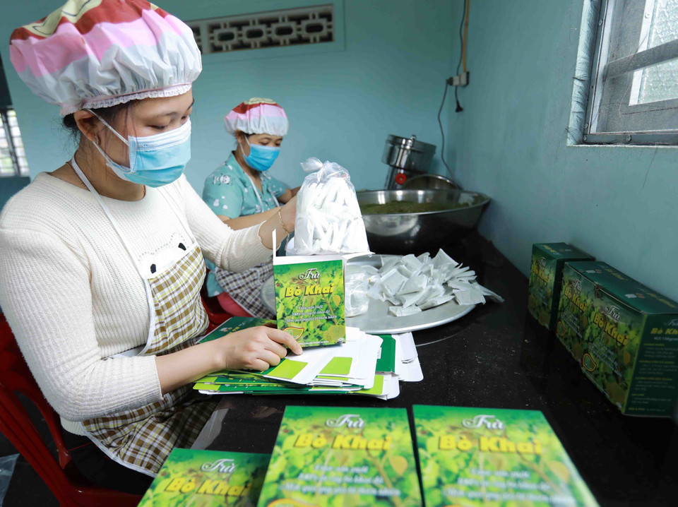 Đóng gói sản phẩm chè bò khai tại xưởng của Hợp tác xã Công Bằng, xã Ea Knuếc (huyện Krông Pắk) - xã đạt chuẩn nông thôn mới năm 2020. (Ảnh: Vũ Sinh/TTXVN)