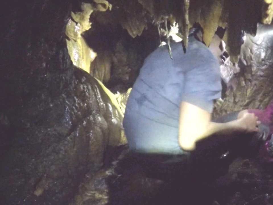 Quá trình kiến tạo đã tạo nên cho hang động rất nhiều nhũ hoa. (Ảnh: PV/Vietnam+)