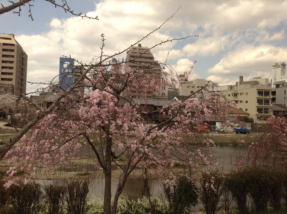 (Ảnh: Nguyễn Hậu/Vietnam+)