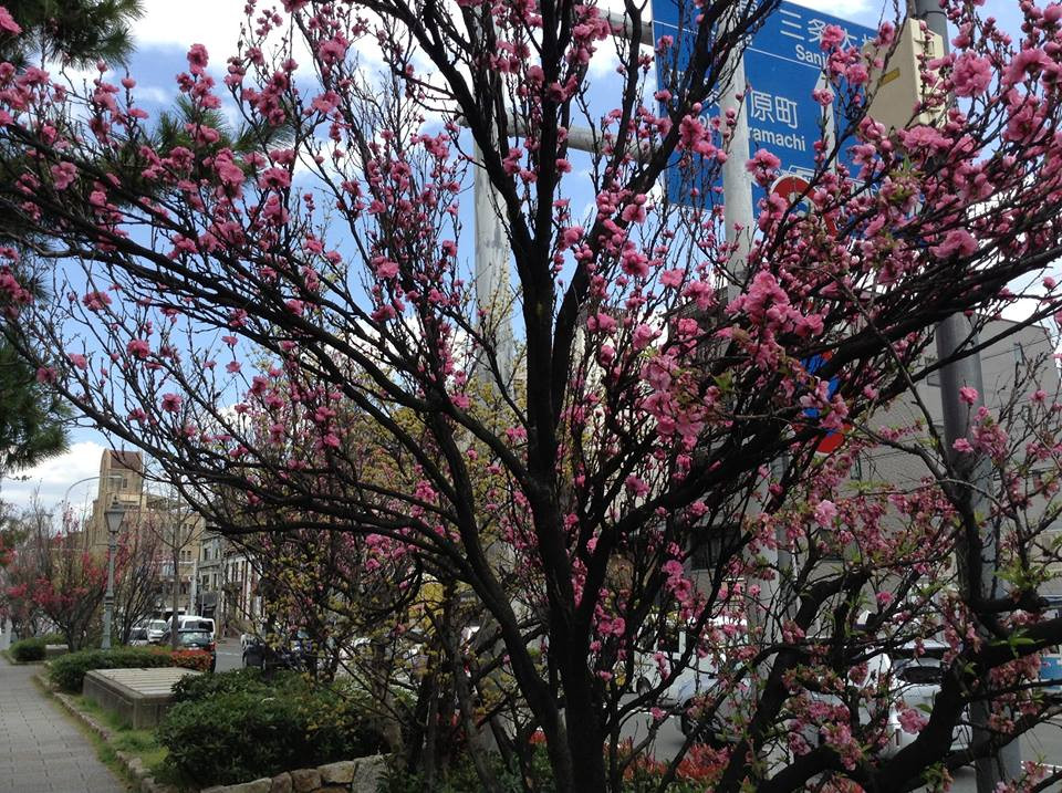 (Ảnh: Nguyễn Hậu/Vietnam+)