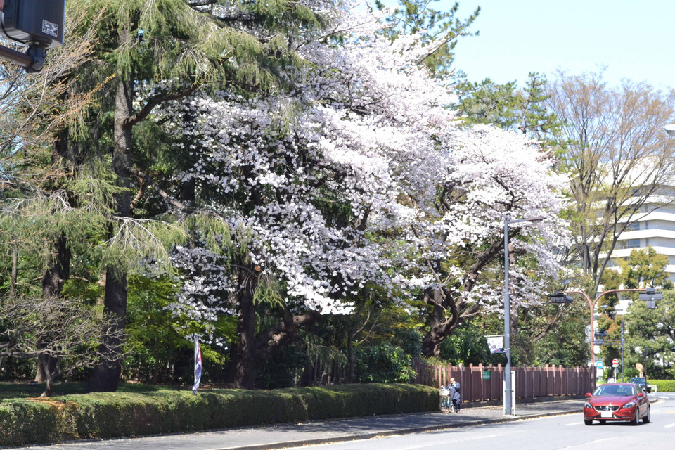 (Ảnh: Tri Phương/Vietnam+)