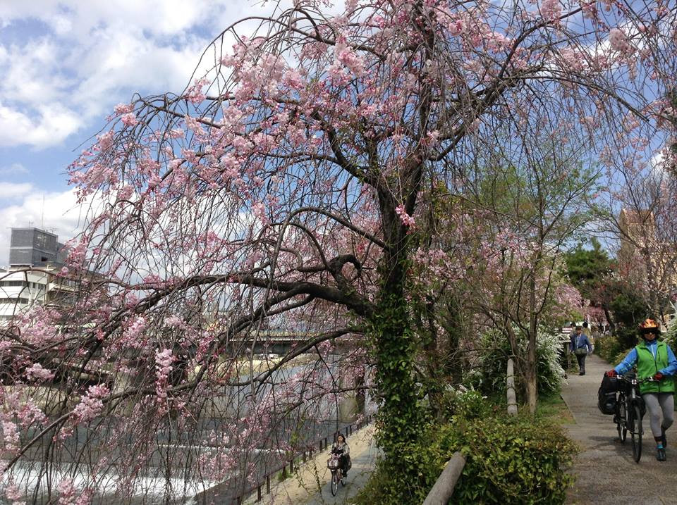 (Ảnh: Nguyễn Hậu/Vietnam+)