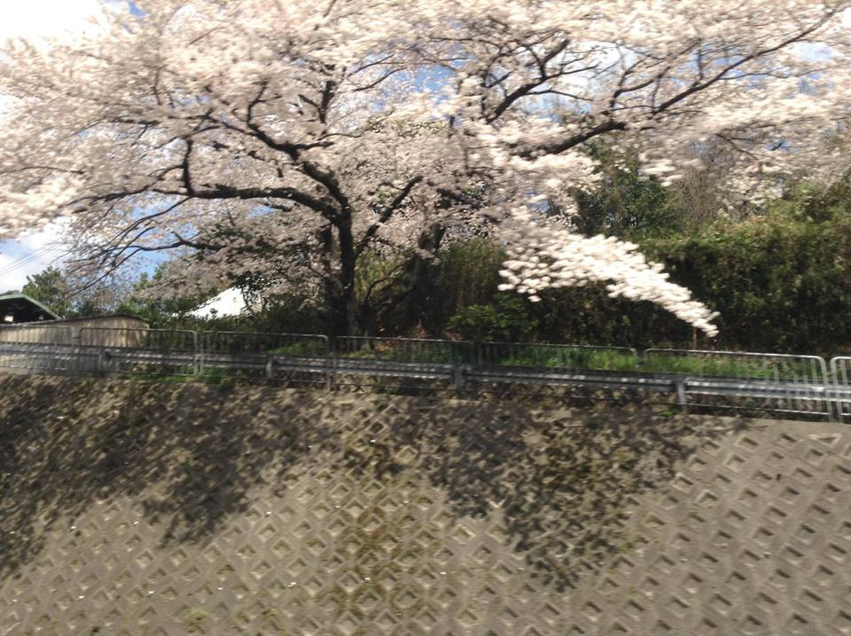 (Ảnh: Nguyễn Hậu/Vietnam+)