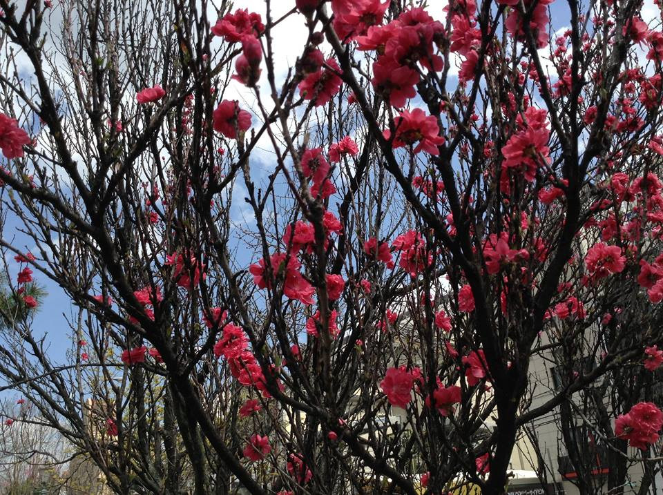 (Ảnh: Nguyễn Hậu/Vietnam+)