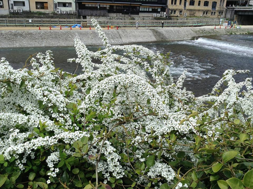 (Ảnh: Nguyễn Hậu/Vietnam+)