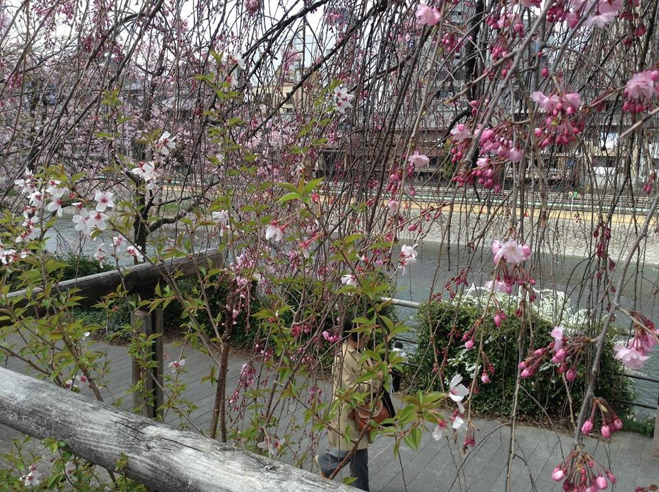 (Ảnh: Nguyễn Hậu/Vietnam+)