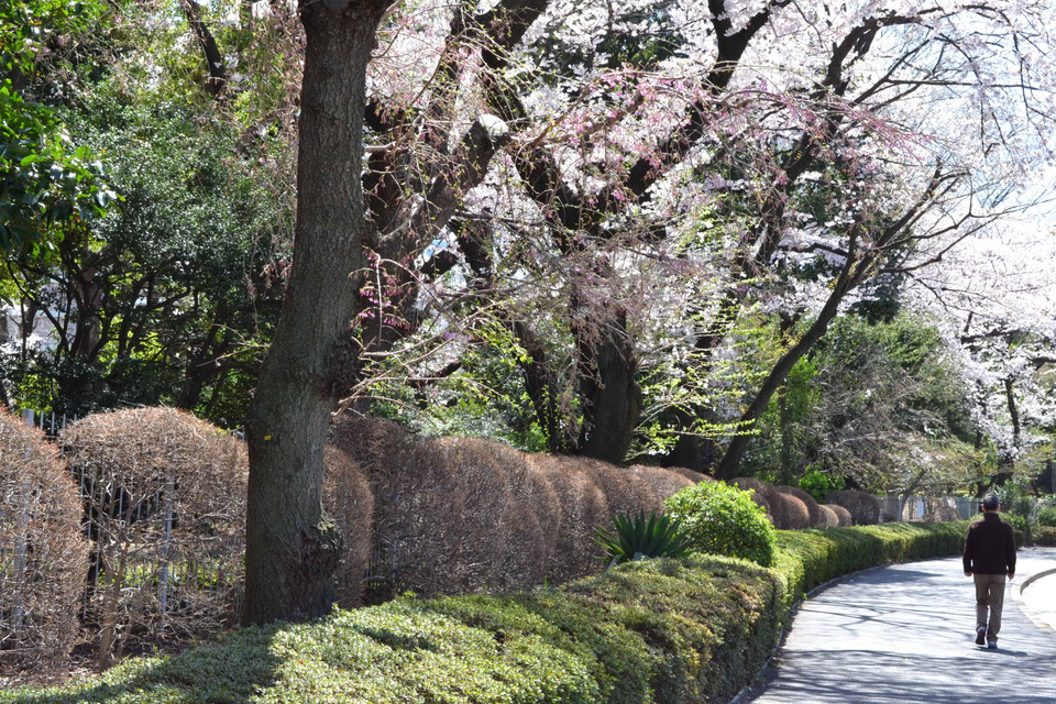 (Ảnh: Tri Phương/Vietnam+)