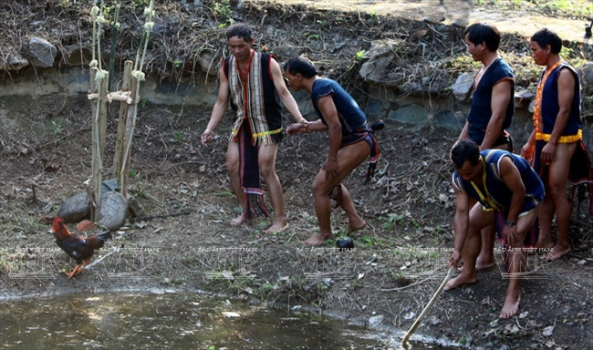 Già làng chọn một thanh niên khỏe mạnh để cột vào cây nêu cùng con gà trống để làm lễ tế. (Nguồn: Trịnh Bộ/Báo ảnh Việt Nam)