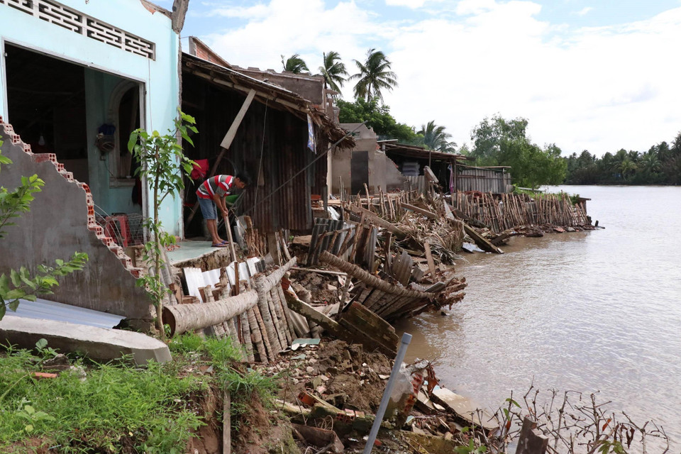 Sạt lở bờ sông ở thị trấn Mỏ Cày Nam, huyện Mỏ Cày, tỉnh Bến Tre, gây mất nhà, đất của dân. (Nguồn: TTXVN)