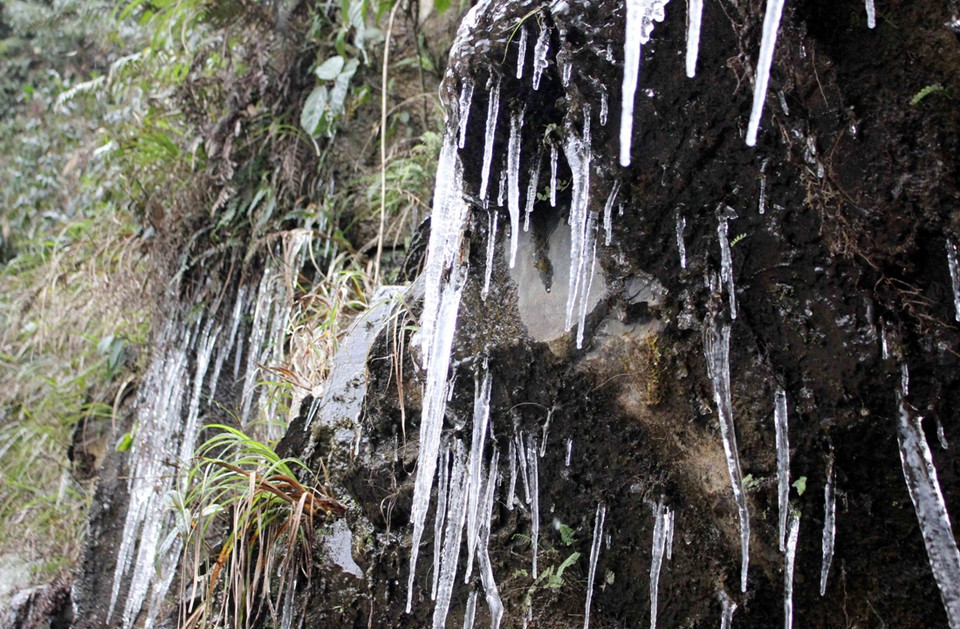 Nước trên các vách đá nhỏ xuống cũng đóng băng thành những nhũ đá óng ánh đẹp mắt. (Ảnh: Quốc Đạt/TTXVN)