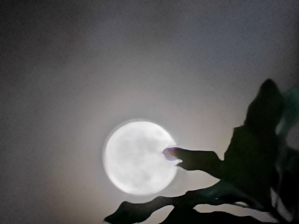 Siêu trăng trên bầu trời Hà Nội. (Ảnh: Thanh Tùng/TTXVN)