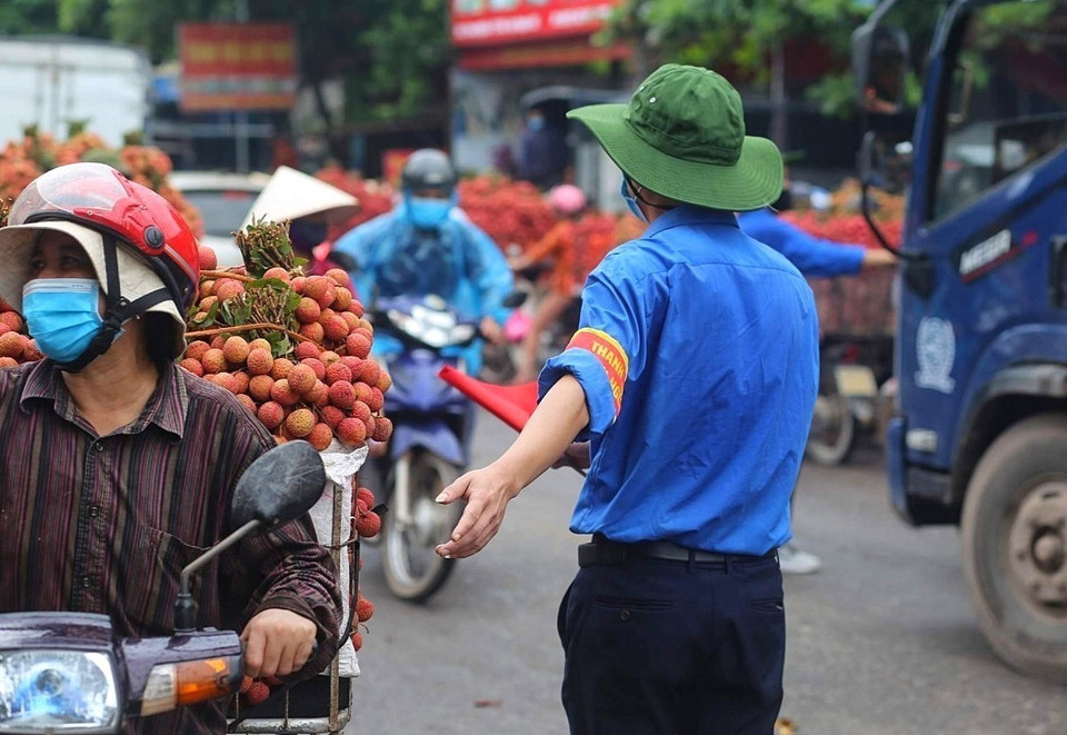 Lực lượng thanh niên tình nguyện tham gia điều tiết giao thông. (Ảnh: Danh Lam/TTXVN)