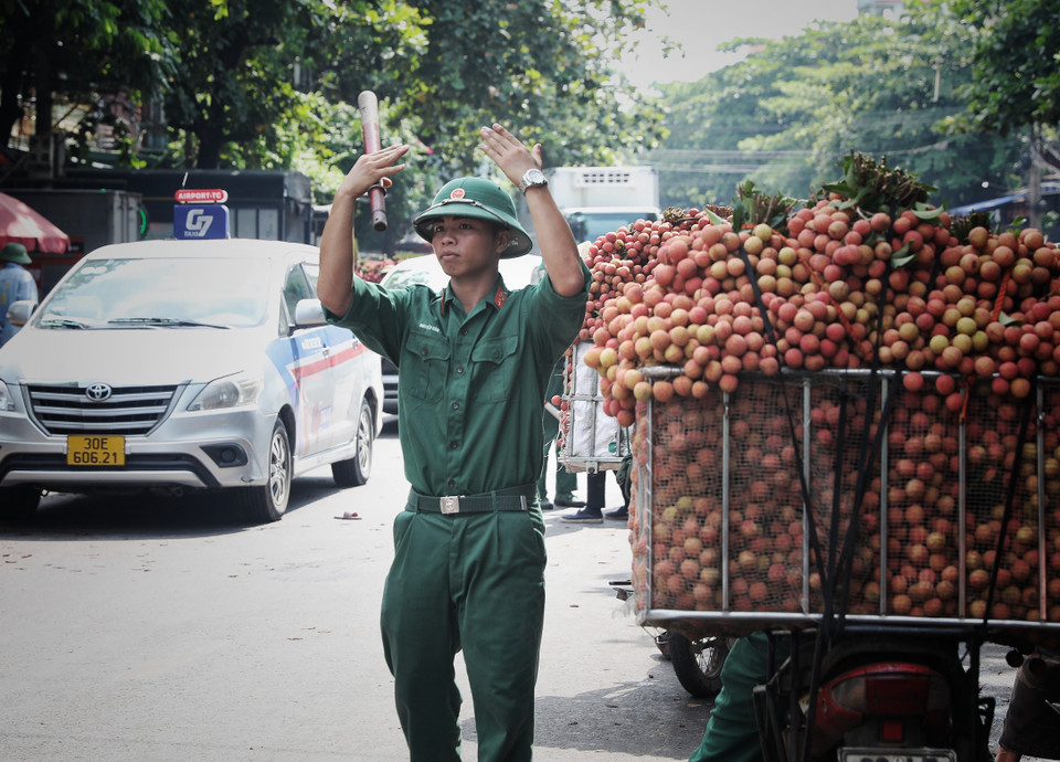 Từ sáng sớm, lực lượng bộ đội đã túc trực làm nhiệm vụ điều tiết giao thông để bà con chở vải đi tiêu thụ thuận lợi. (Ảnh: Danh Lam/TTXVN)