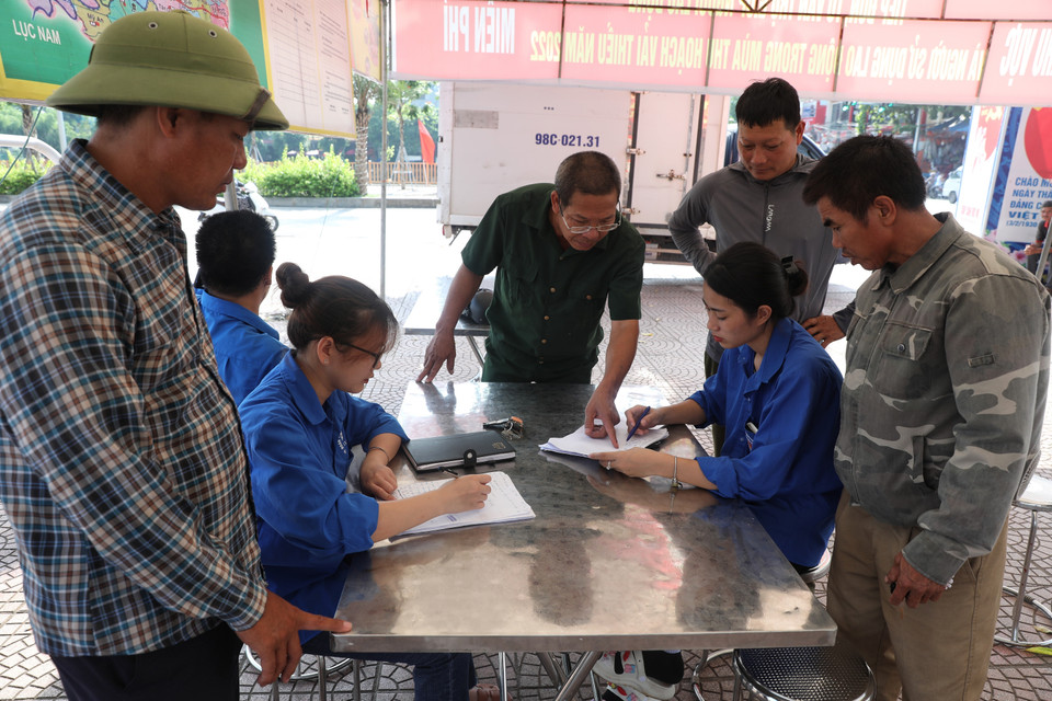 Lực lượng thanh niên tình nguyện làm tổ tư vấn, hỗ trợ người tìm lao động và người lao động trong mùa thu hoạch vải thiều năm 2022. (Ảnh: Danh Lam/TTXVN)
