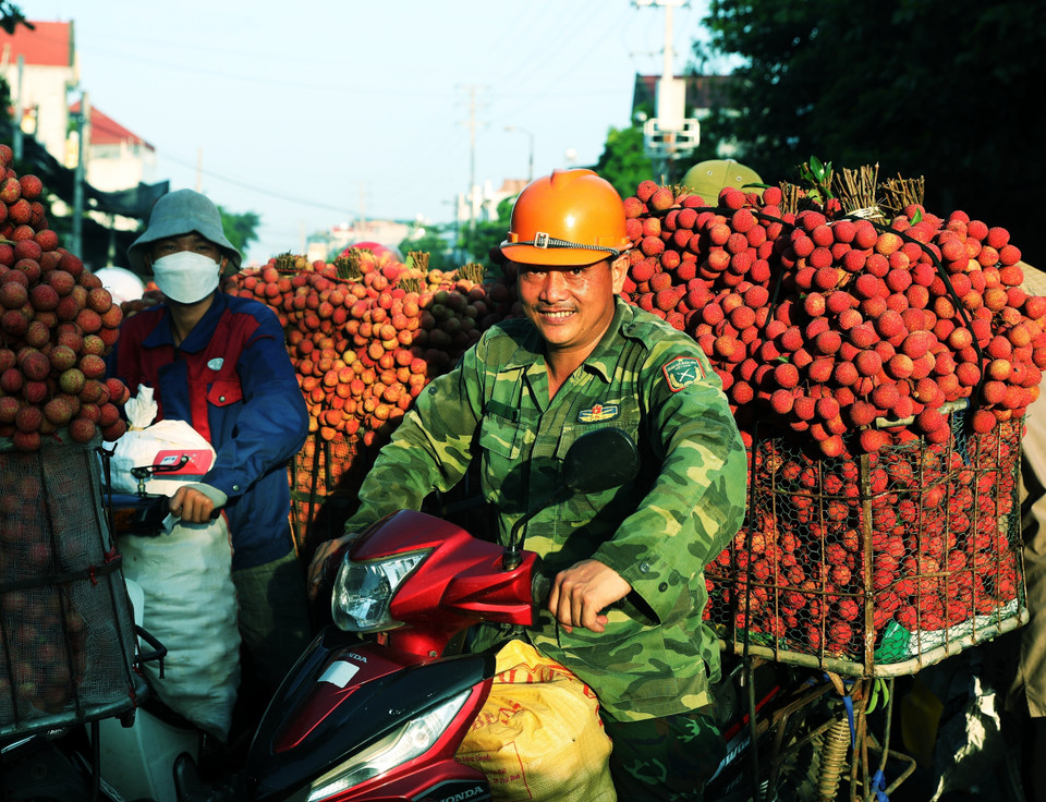 Người dân đưa vải đi tiêu thụ. (Ảnh: Danh Lam/TTXVN)