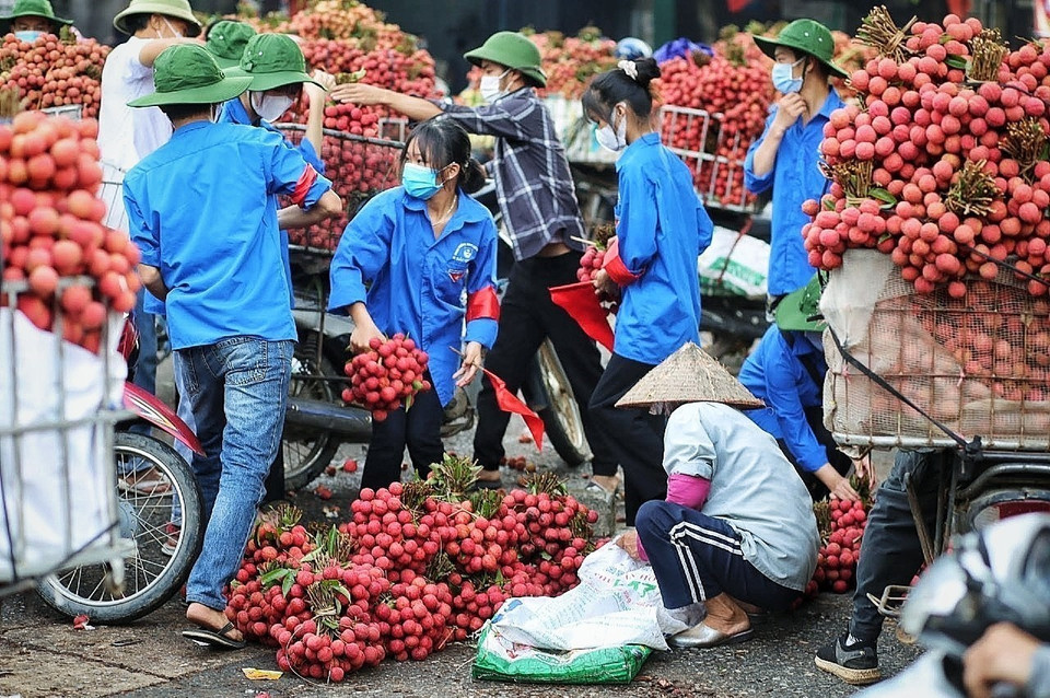 Lực lượng thanh niên tình nguyện giúp người dân nhặt lại vải rơi trên đường do bị đổ xe. (Ảnh: Danh Lam/TTXVN)