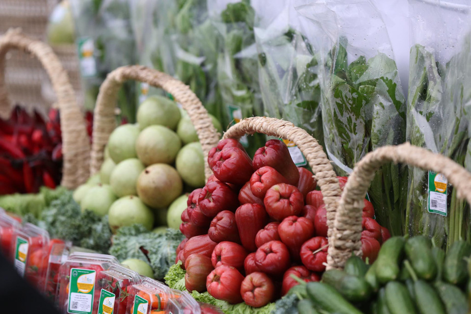 (Ảnh: Minh Sơn/Vietnam+)